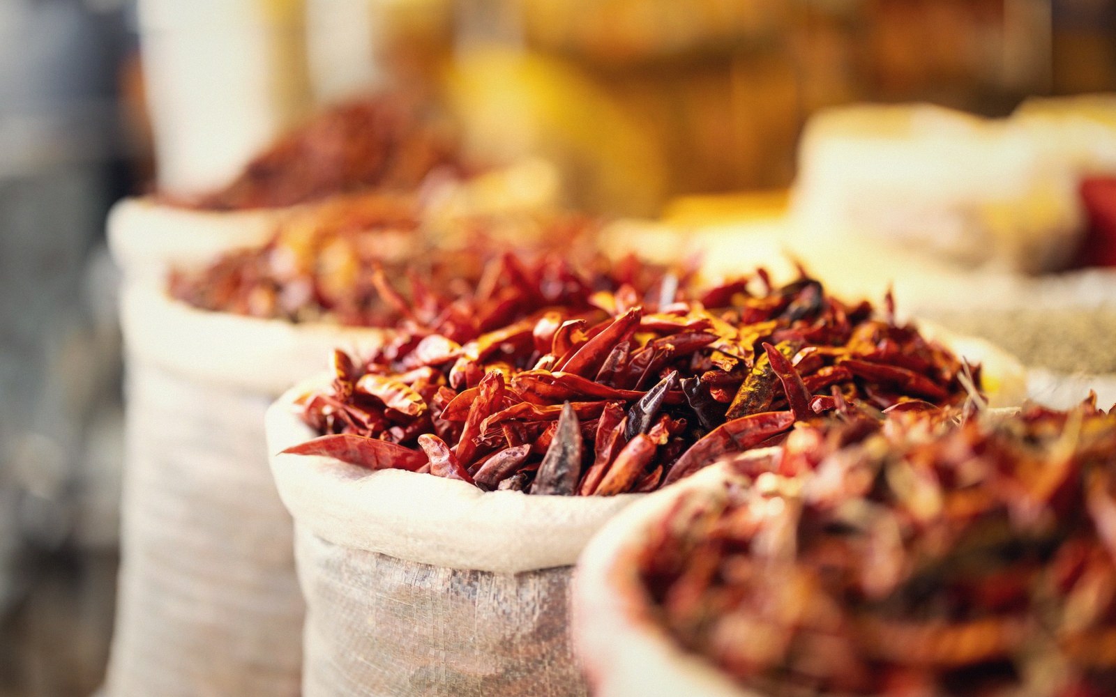 Open sacks of whole spices with the trader behind them